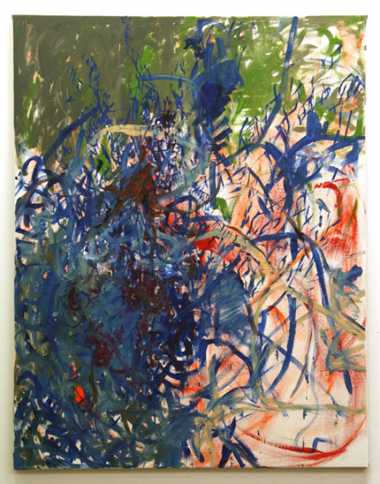 http://www.lizzamaydavid.com/files/gimgs/th-33_Blue-Cup2015_LMDavid.jpg